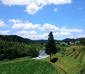 鹿児島県旧霧島町