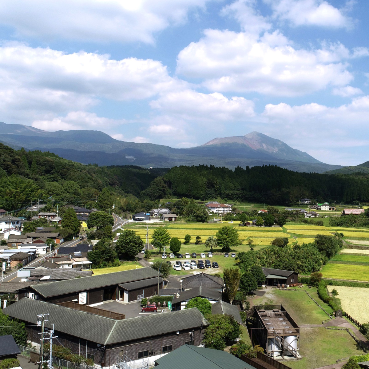 蔵元の美しい風景
