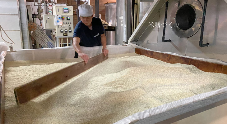金箔入 赤芋明るい農村 米麹