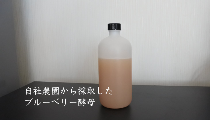 自社農園の天然酵母