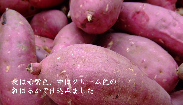 さつま芋・紅はるか