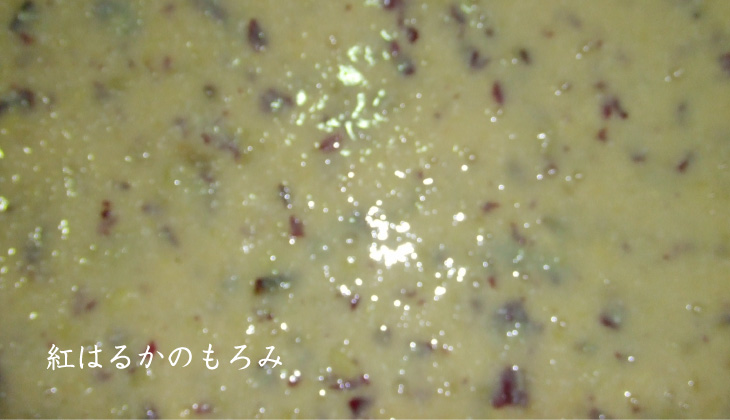 紅はるか もろみ