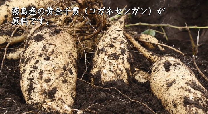 鹿児島の霧島産コガネセンガン（黄金千貫）が、原料です