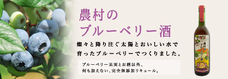 農村のブルーベリー酒シリーズ