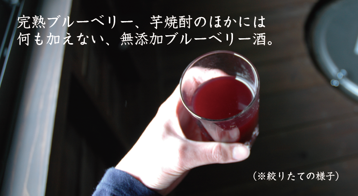 完熟ブルーベリー、芋焼酎以外には、何も加えない無添加ブルーベリー酒