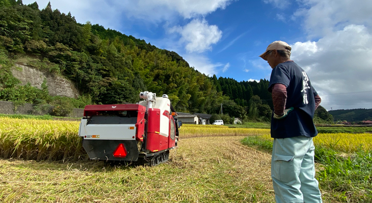 田植えの収穫