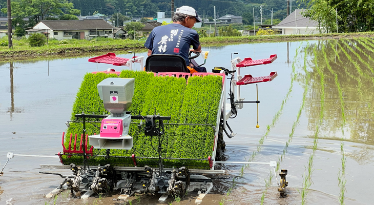 明るい農村での田植え 