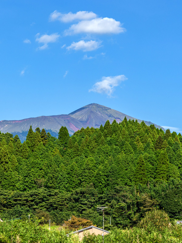 雄大な霧島連山が望めます。