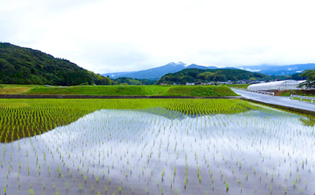 伝統のかめ壺仕

込み02