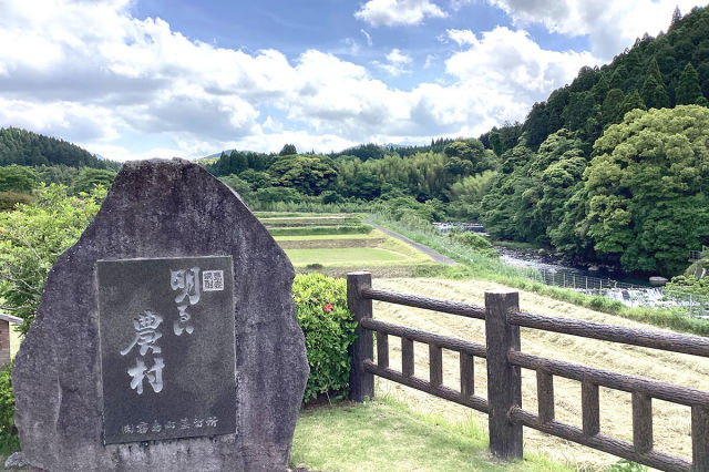 10年古酒 赤芋明るい農村