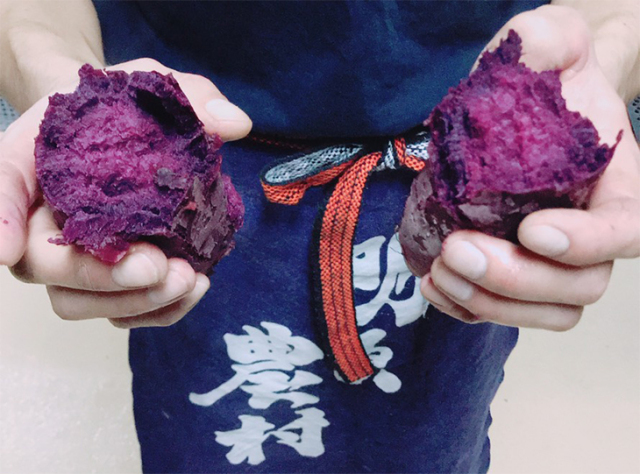 紫芋　エイムラサキ