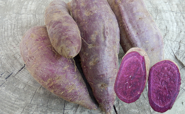 紫芋系