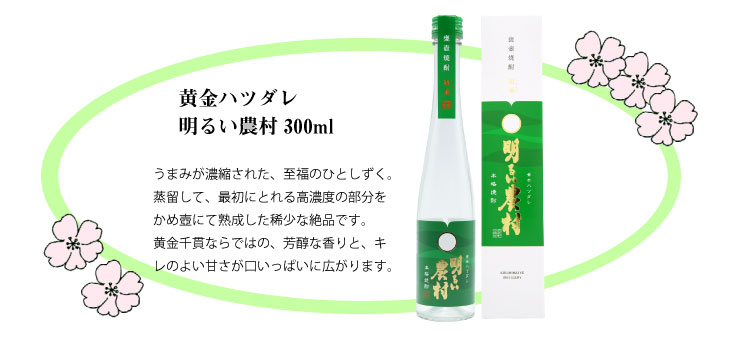 春ギフト 黄金ハツダレ明るい農村